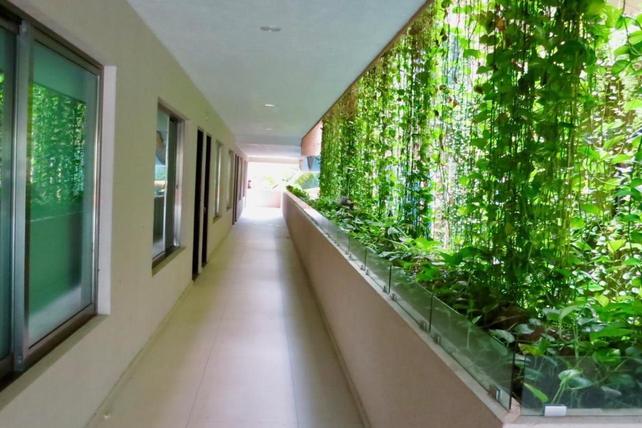 Palmarena Rooms & Residences - Long Stay Comfort With Parking, Sauna, Gym & Pool - Steps From 5Th Avenue プレヤデルカーメン エクステリア 写真
